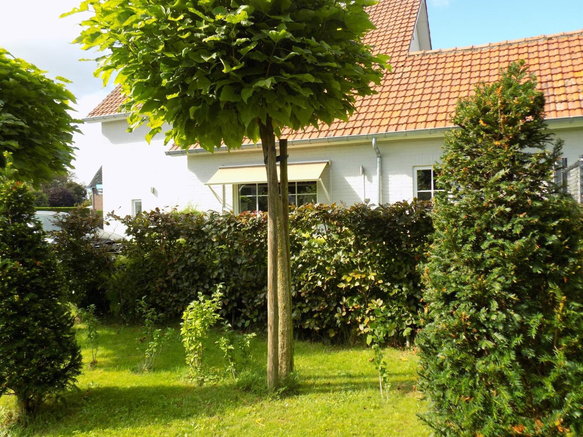Villa Mooi Maasland Маасейк Экстерьер фото